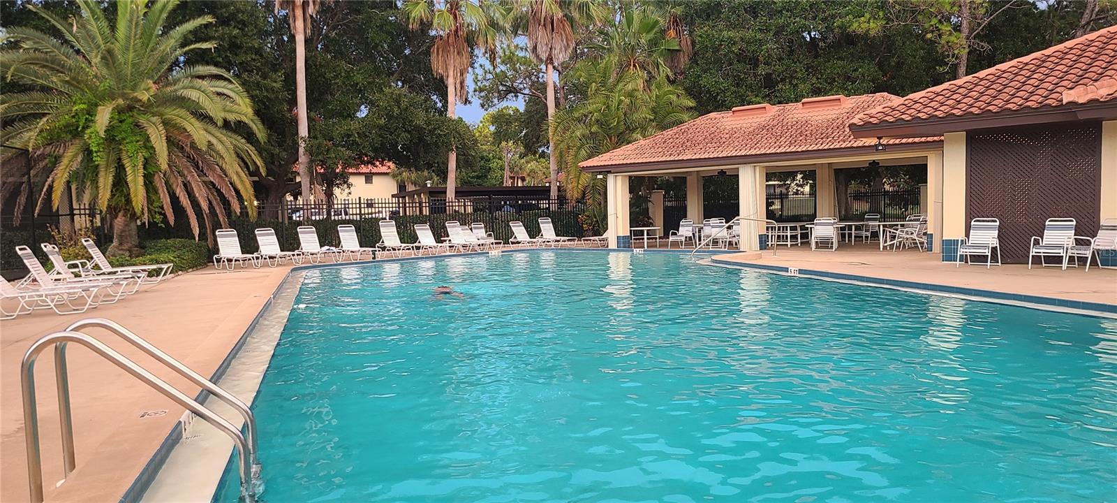 2009 HAMMOCK PINE BLVD #2009, CLEARWATER, FL, 33761