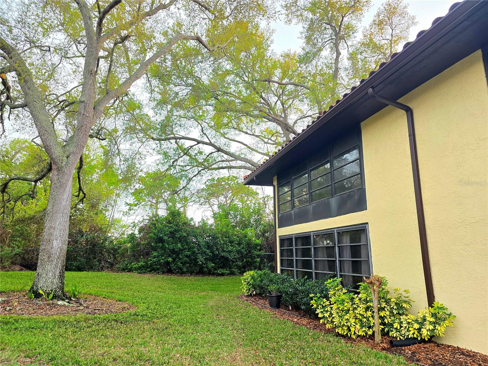 2009 HAMMOCK PINE BLVD #2009, CLEARWATER, FL, 33761