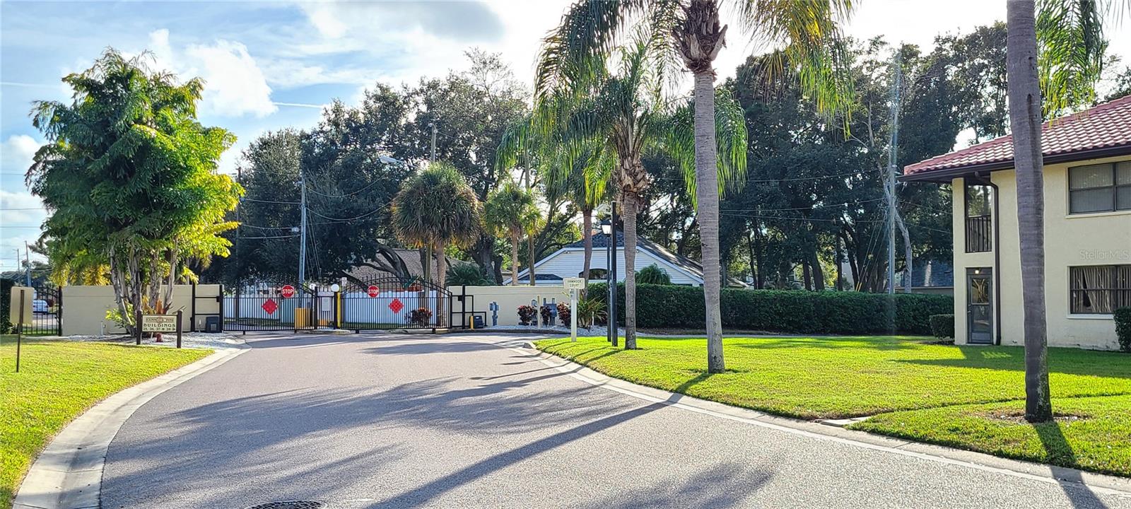 2009 HAMMOCK PINE BLVD #2009, CLEARWATER, FL, 33761