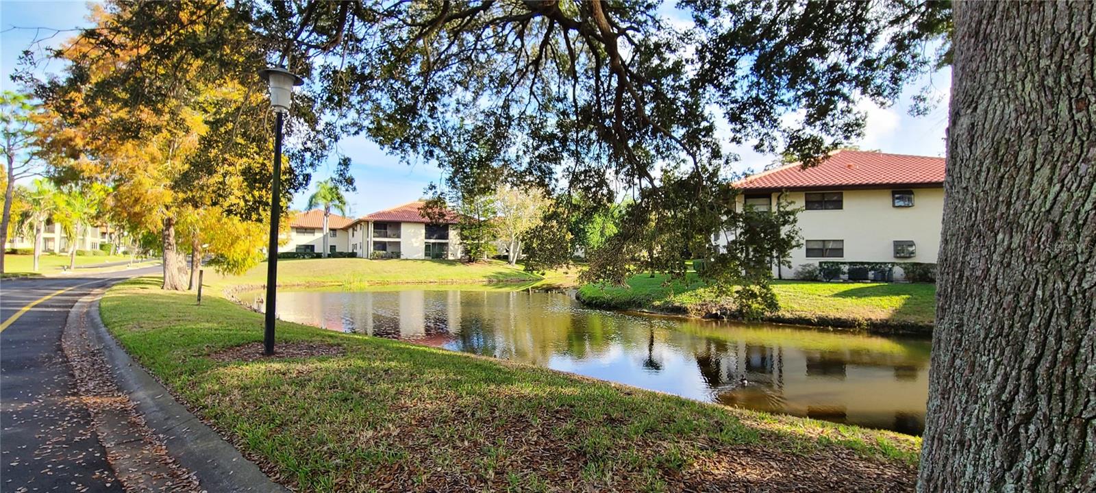 2009 HAMMOCK PINE BLVD #2009, CLEARWATER, FL, 33761