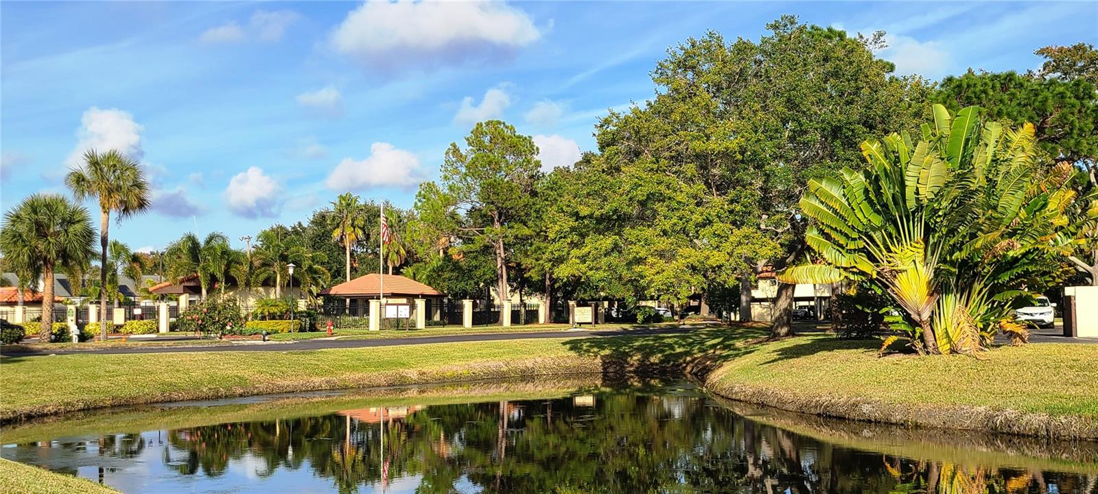 2009 HAMMOCK PINE BLVD #2009, CLEARWATER, FL, 33761