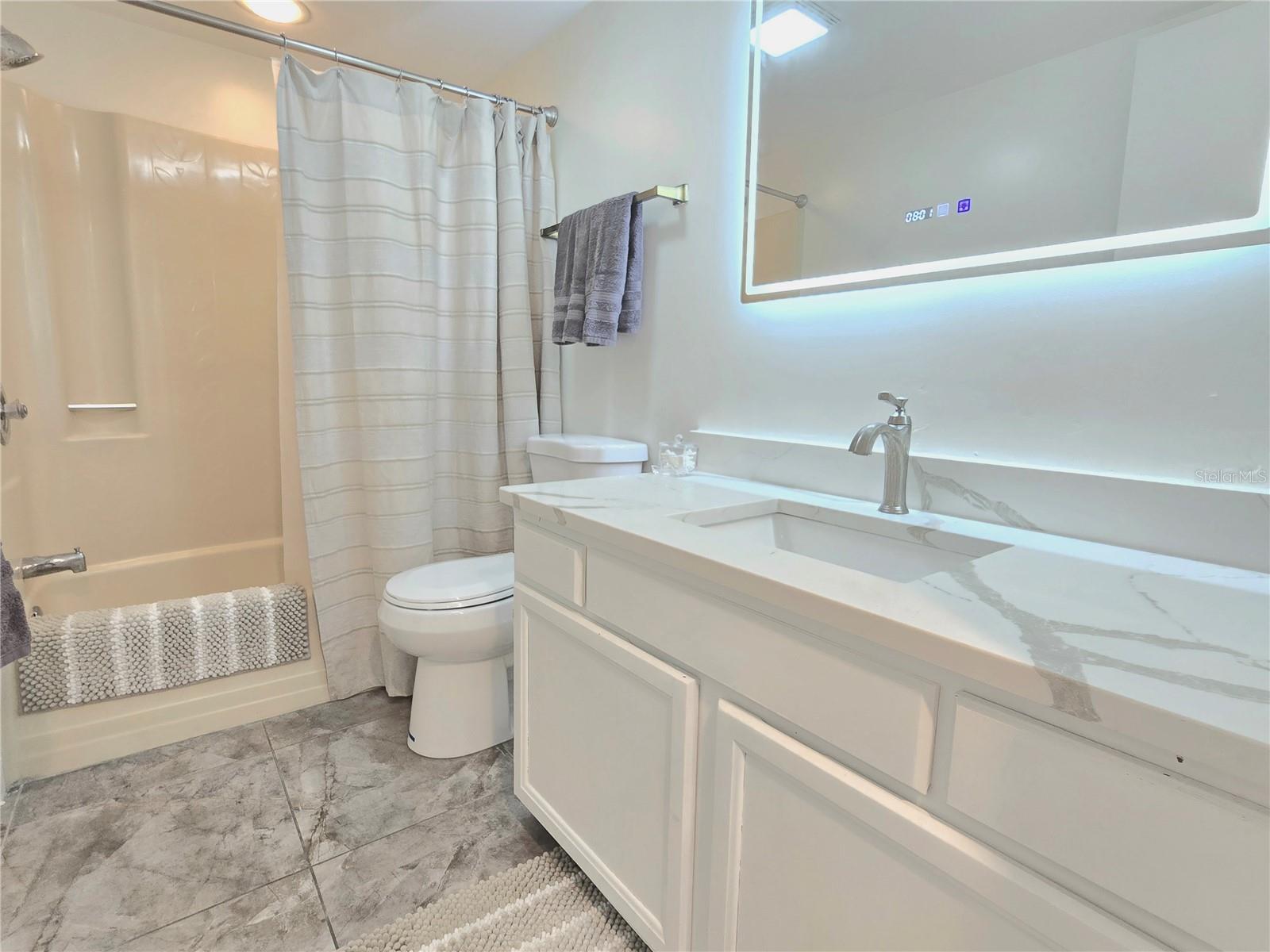 2009 HAMMOCK PINE BLVD #2009, CLEARWATER, FL, 33761