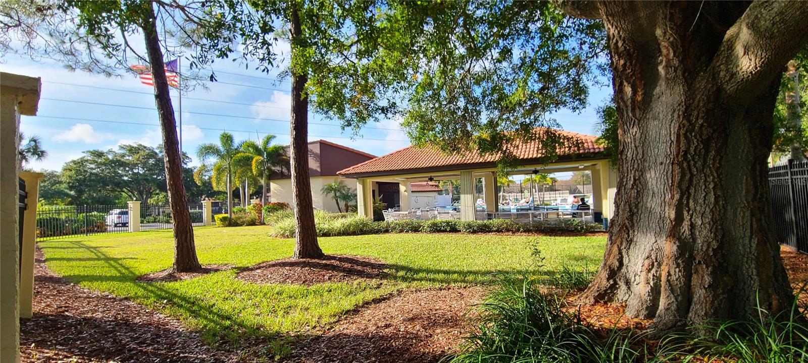 2009 HAMMOCK PINE BLVD #2009, CLEARWATER, FL, 33761