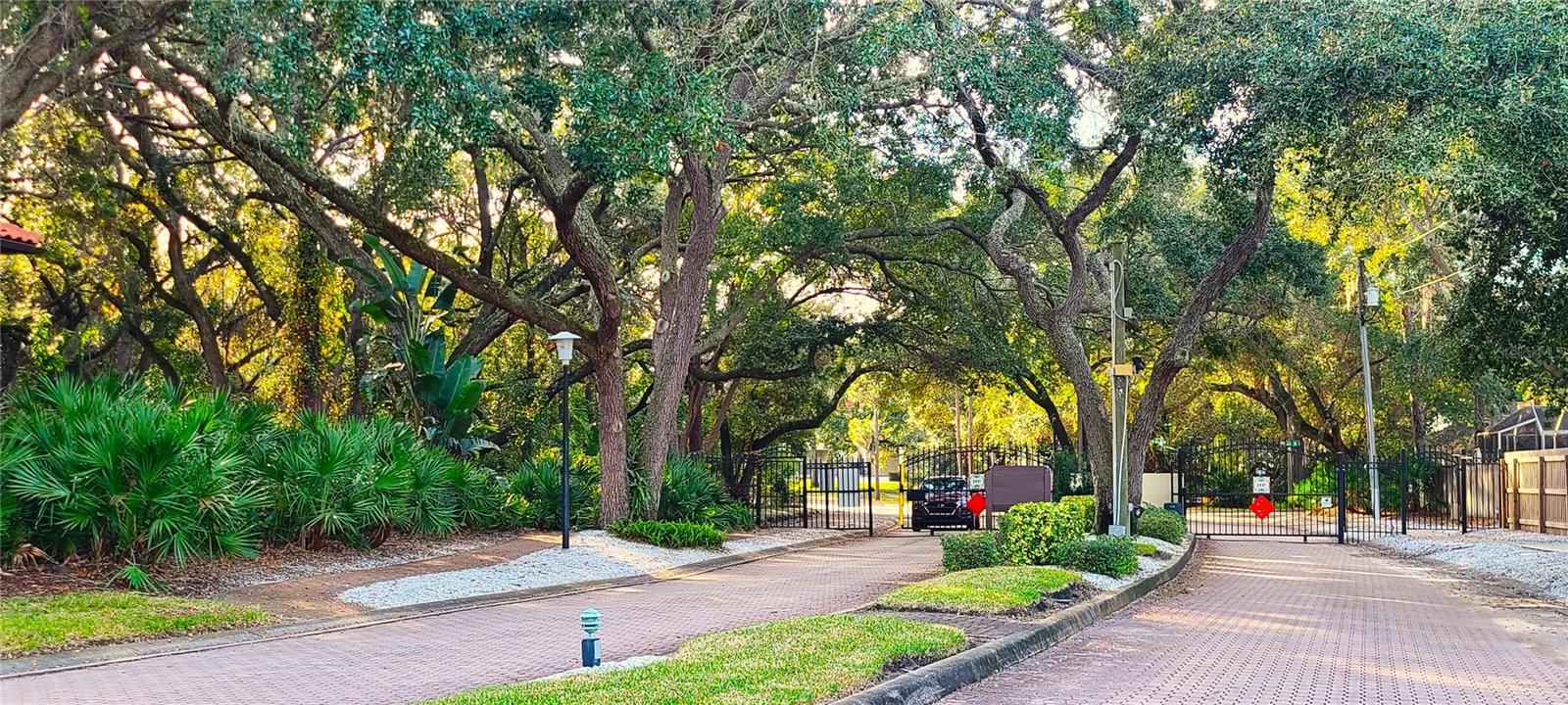 2009 HAMMOCK PINE BLVD #2009, CLEARWATER, FL, 33761