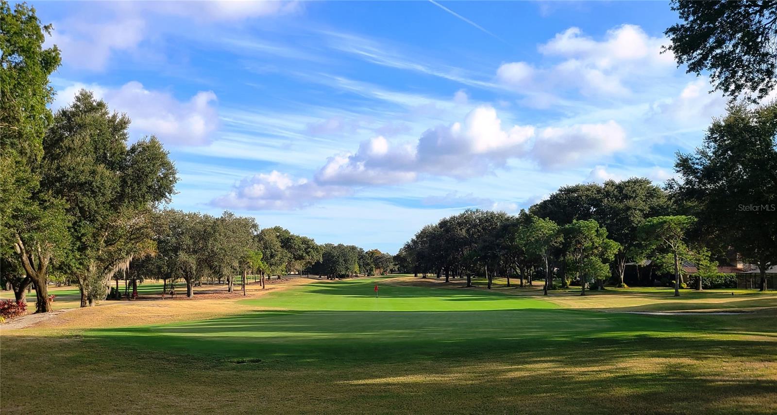 2009 HAMMOCK PINE BLVD #2009, CLEARWATER, FL, 33761