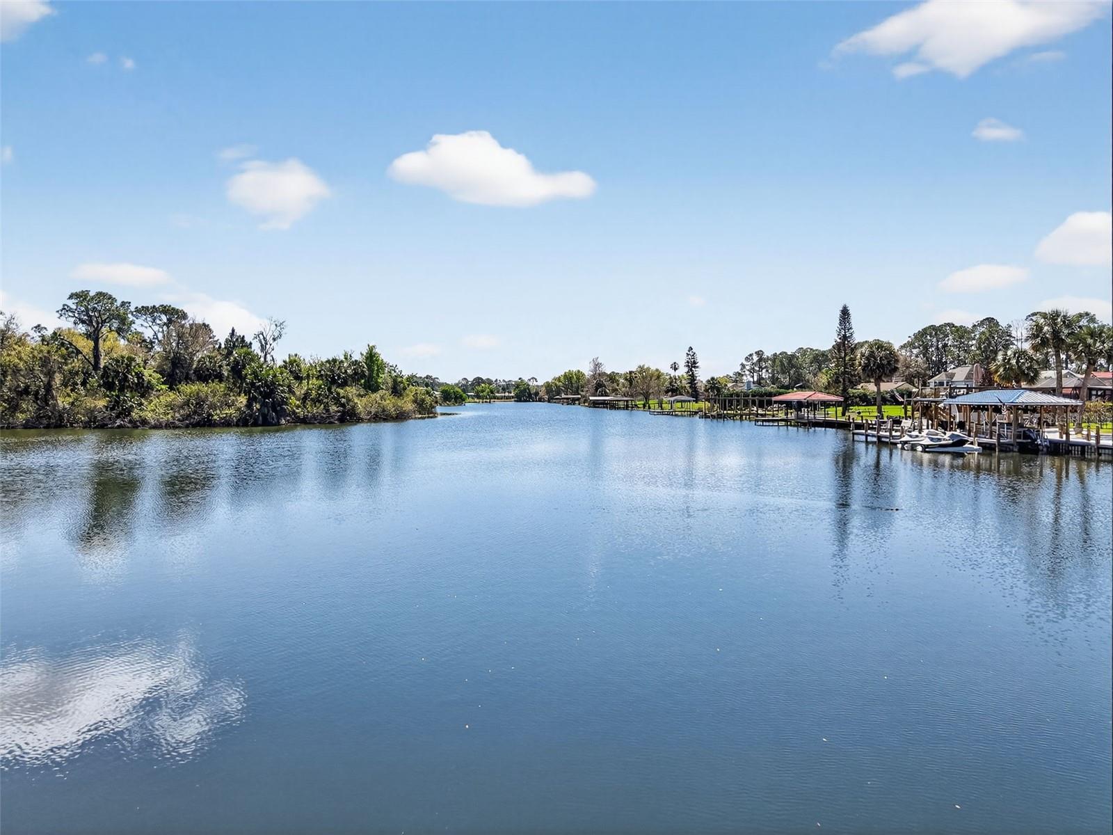 16238 E SHIRLEY SHORES RD, TAVARES, FL, 32778