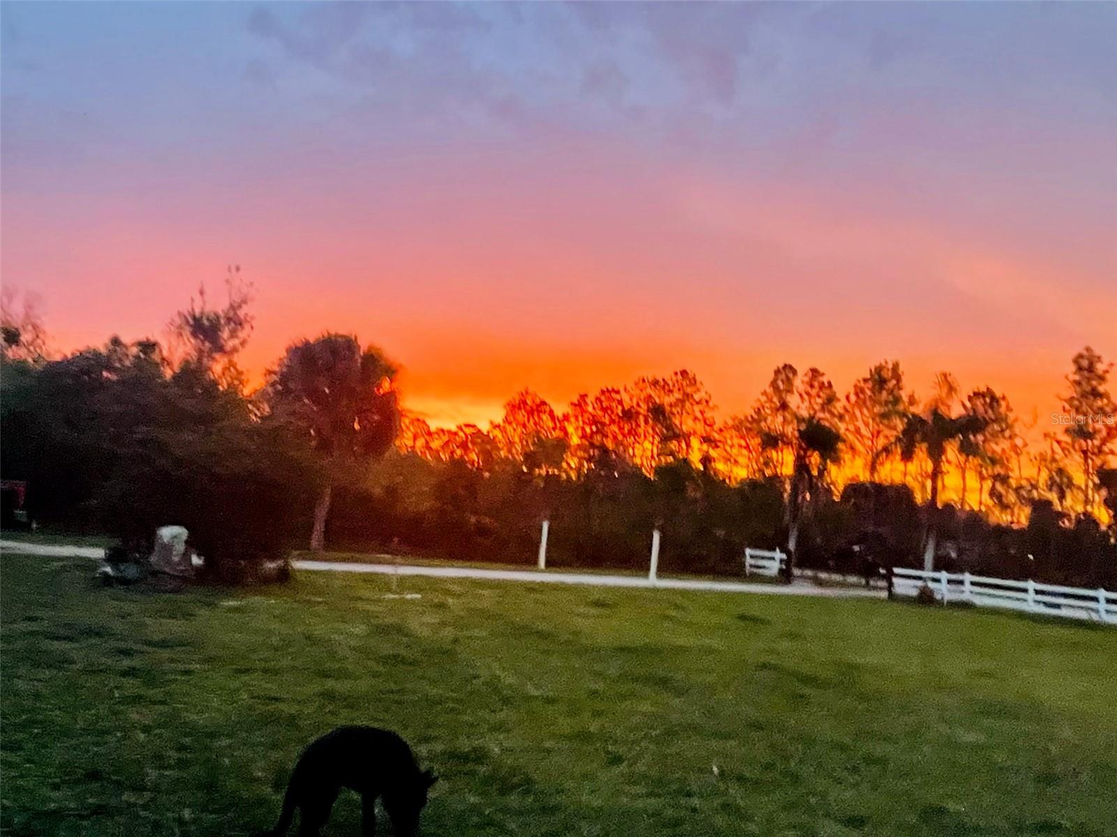 3551 RED BARN LN, ORMOND BEACH, FL, 32174