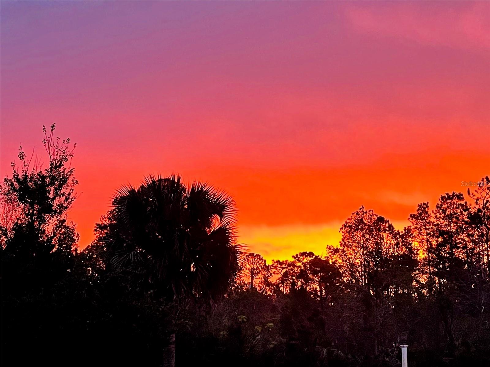 3551 RED BARN LN, ORMOND BEACH, FL, 32174