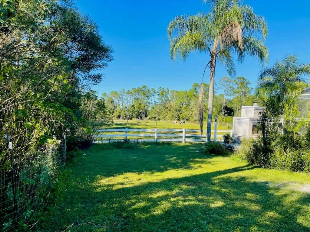 3551 RED BARN LN, ORMOND BEACH, FL, 32174