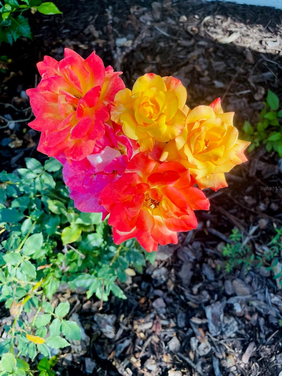 3551 RED BARN LN, ORMOND BEACH, FL, 32174