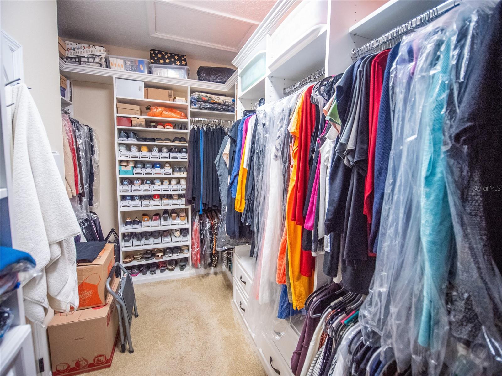 164 SILVER MAPLE RD, GROVELAND, FL, 34736