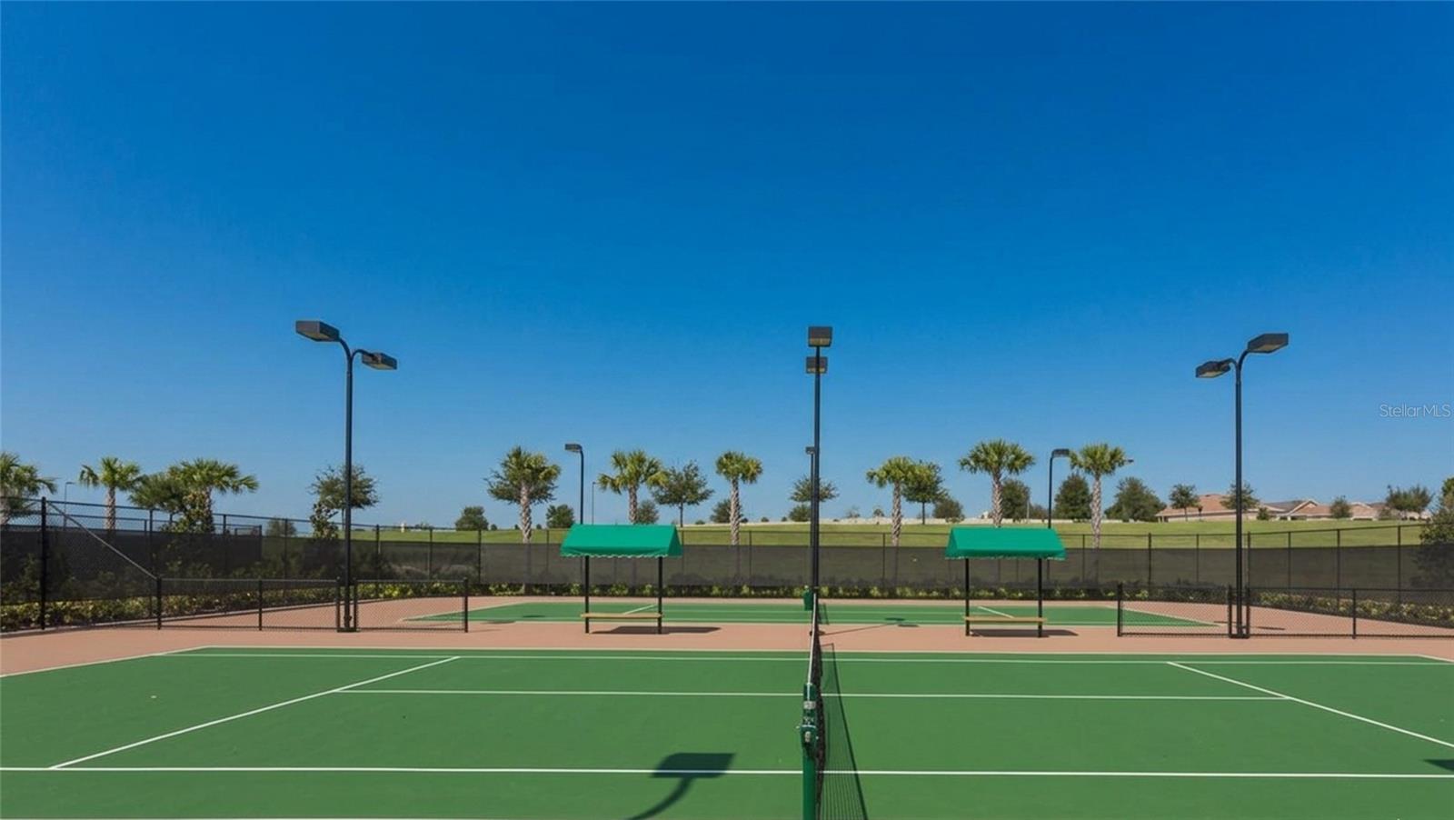 164 SILVER MAPLE RD, GROVELAND, FL, 34736