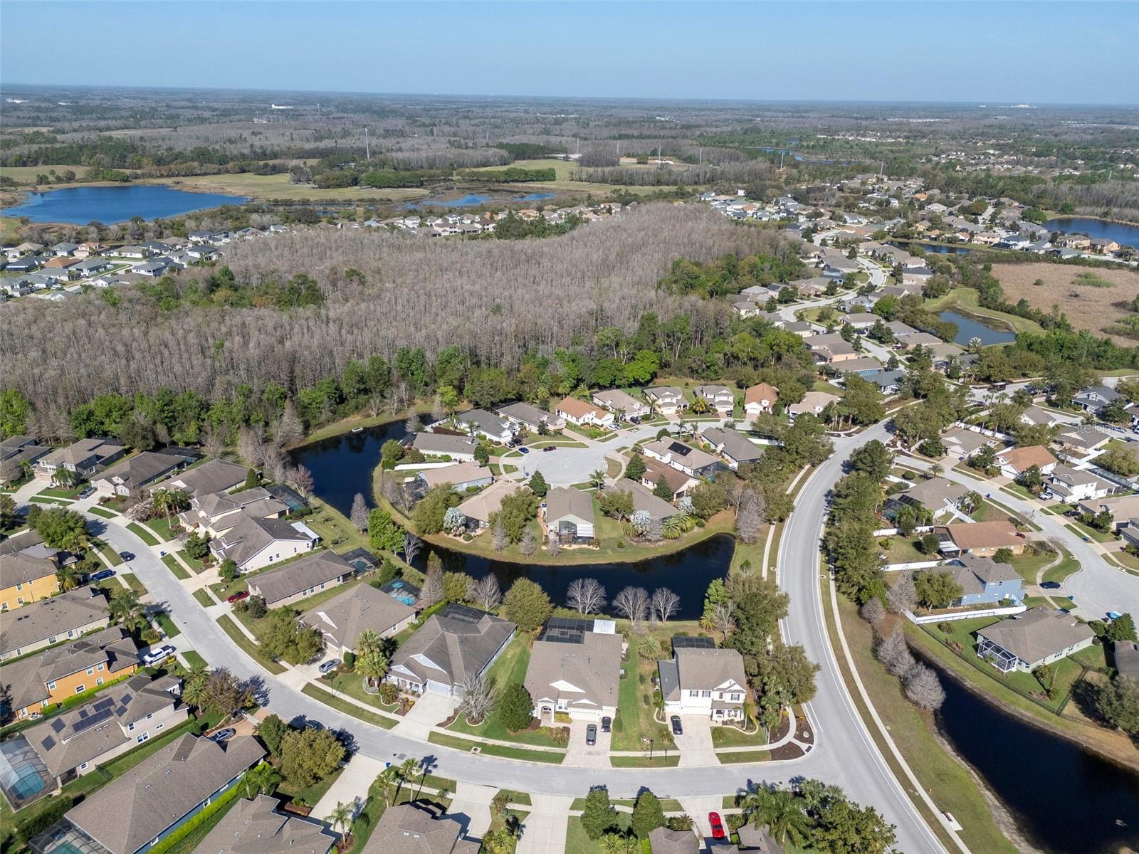 19419 AUTUMN CHASE CT, LAND O LAKES, FL, 34638