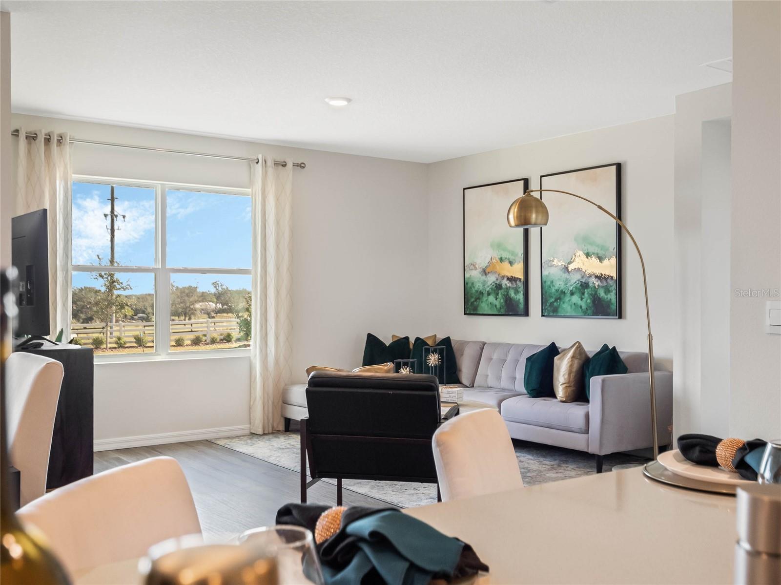 5297 GREENHEART AVE, MOUNT DORA, FL, 32757