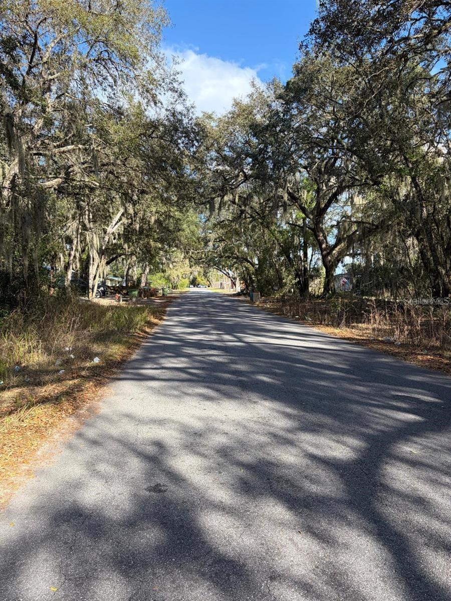 4416 COBALT ST, PALATKA, FL, 32177