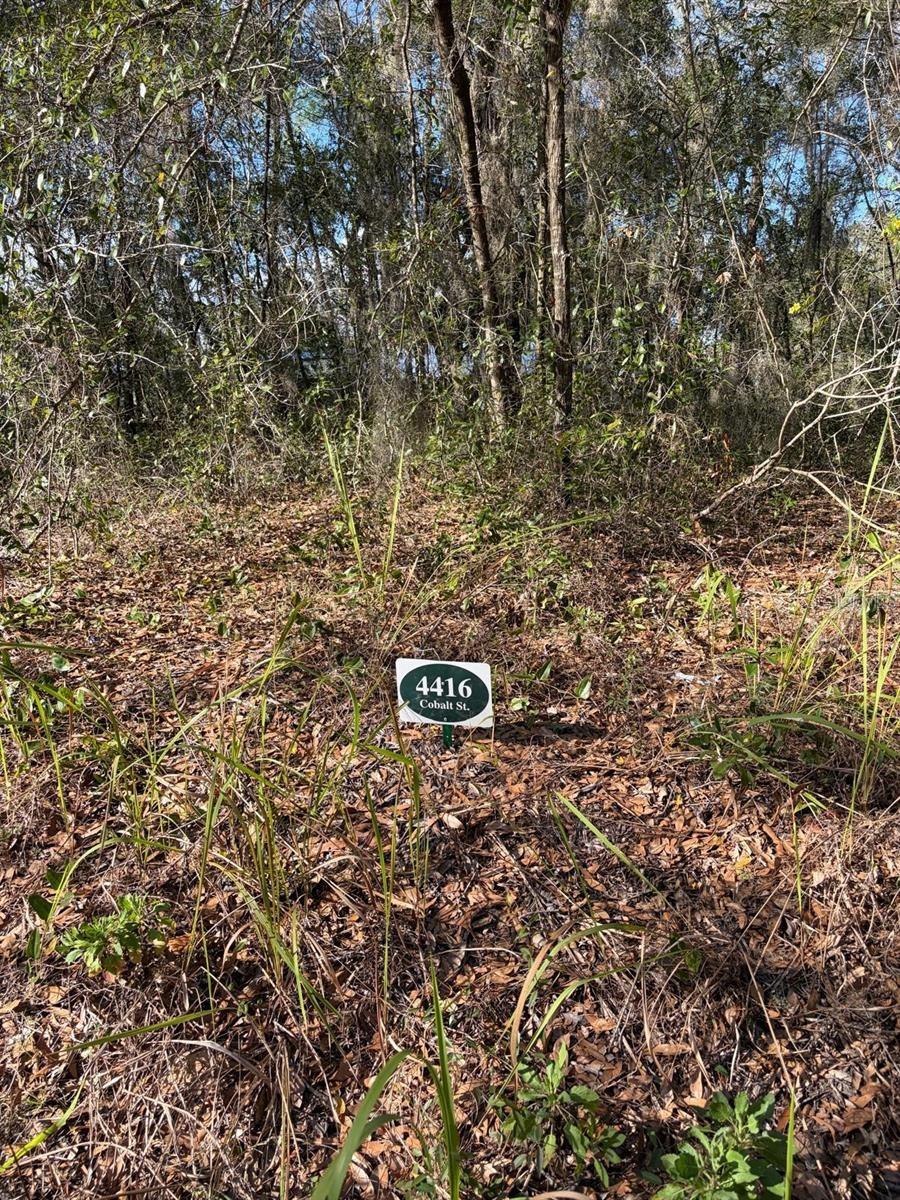 4416 COBALT ST, PALATKA, FL, 32177