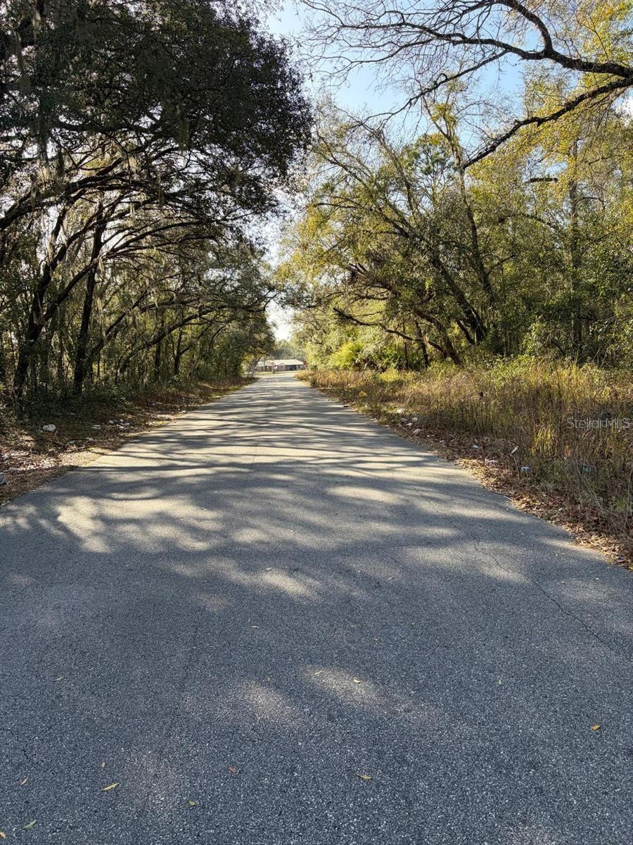 4416 COBALT ST, PALATKA, FL, 32177