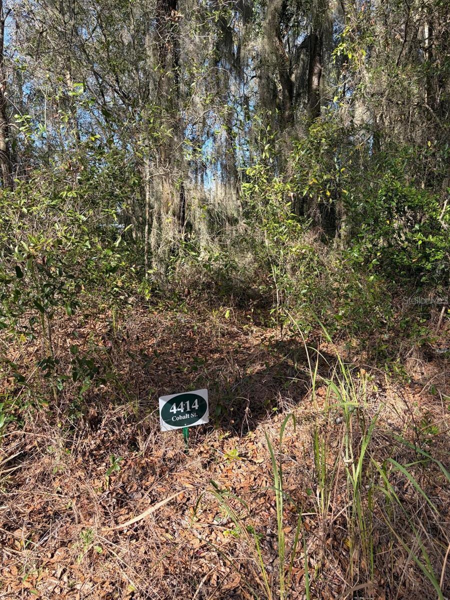 4416 COBALT ST, PALATKA, FL, 32177