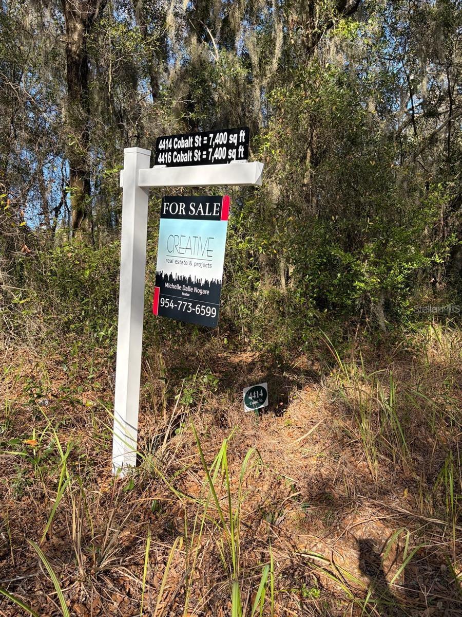 4416 COBALT ST, PALATKA, FL, 32177