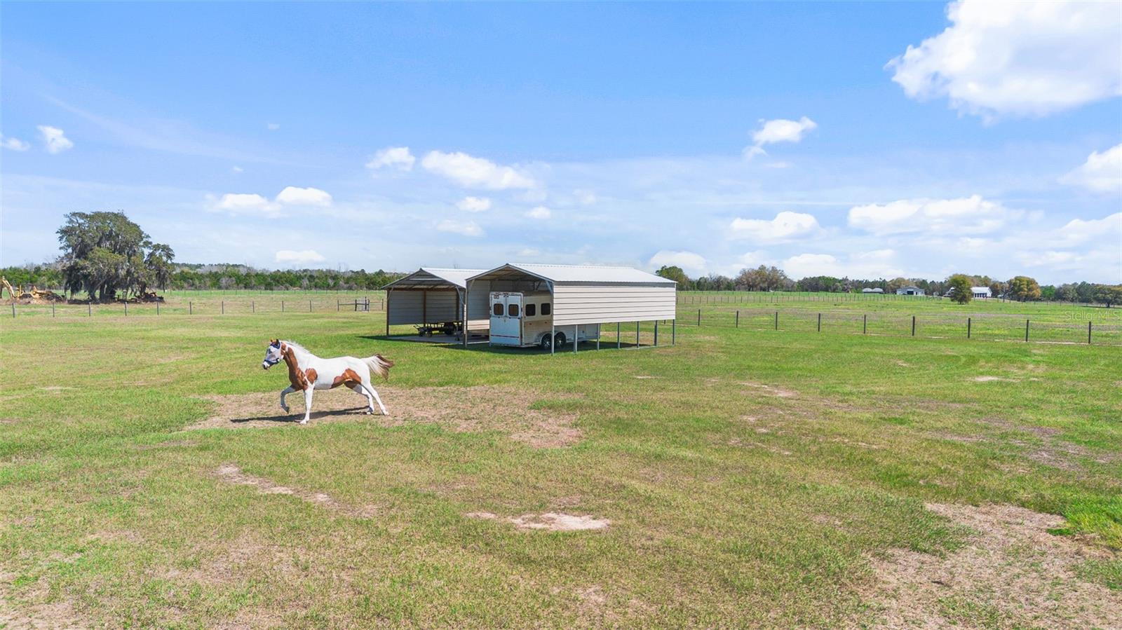 16750 KEENE RD, UMATILLA, FL, 32784