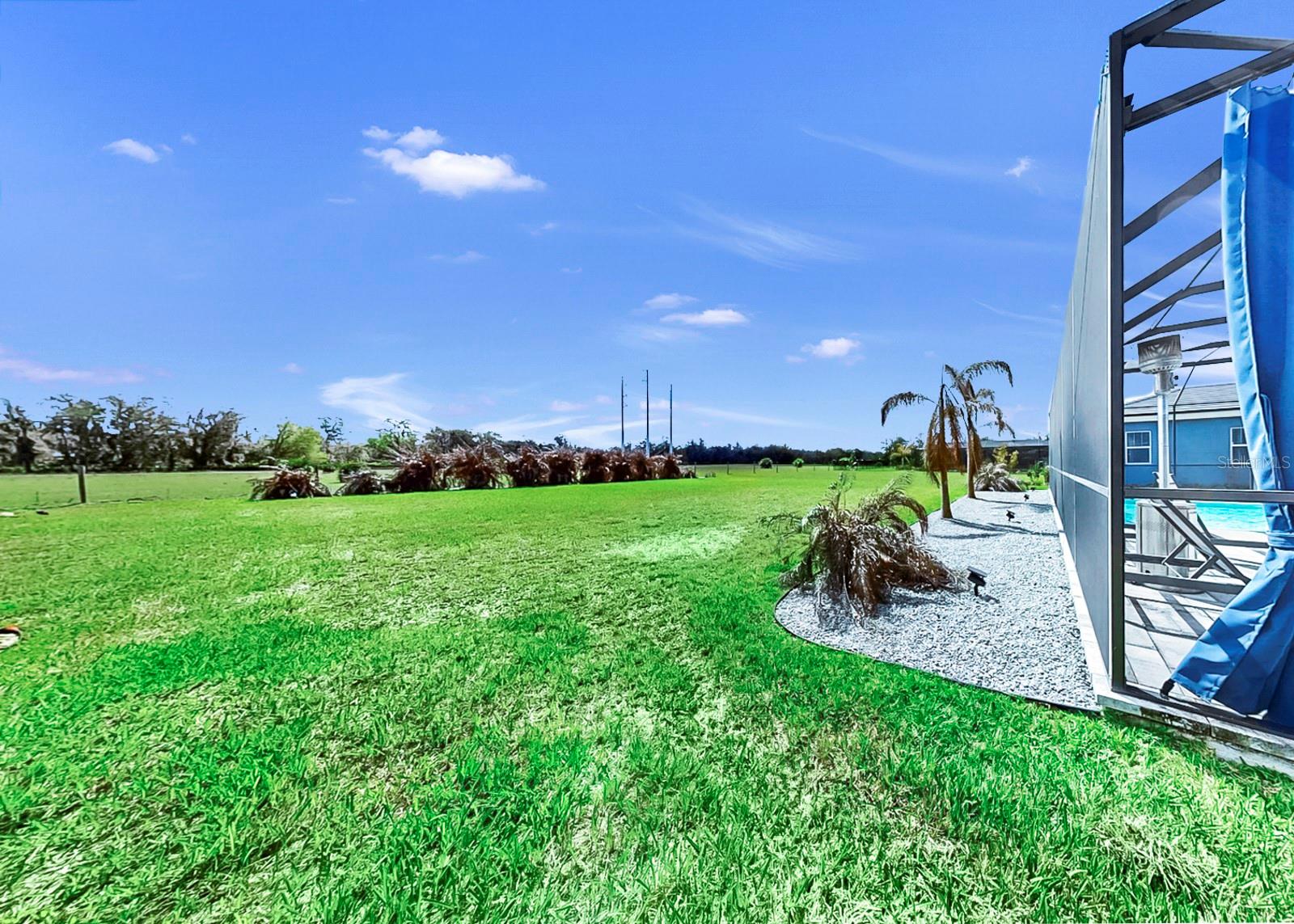 14261 SWISS BRIDGE DR, RIVERVIEW, FL, 33579