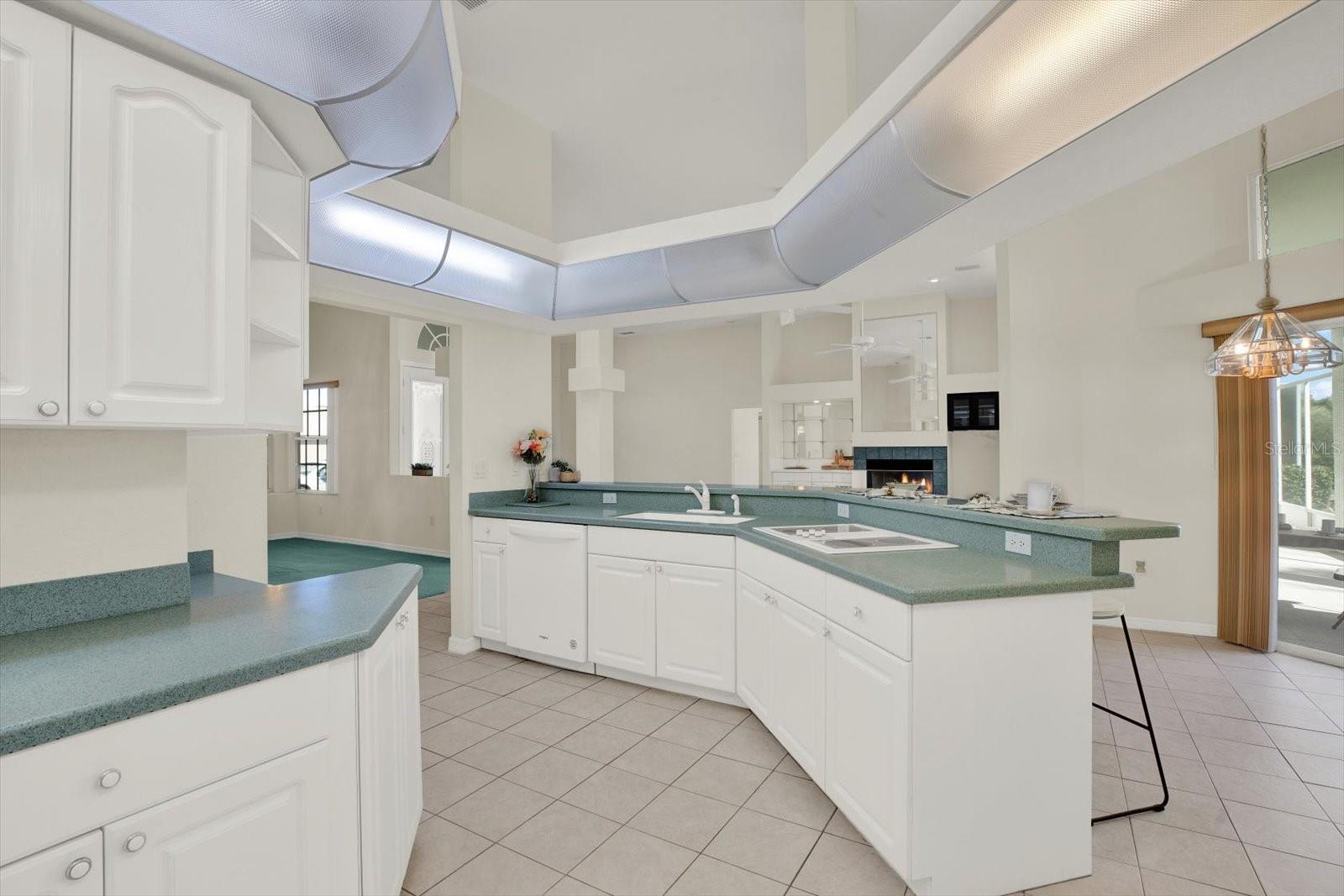 8606 CORAL CREEK LOOP, HUDSON, FL, 34667