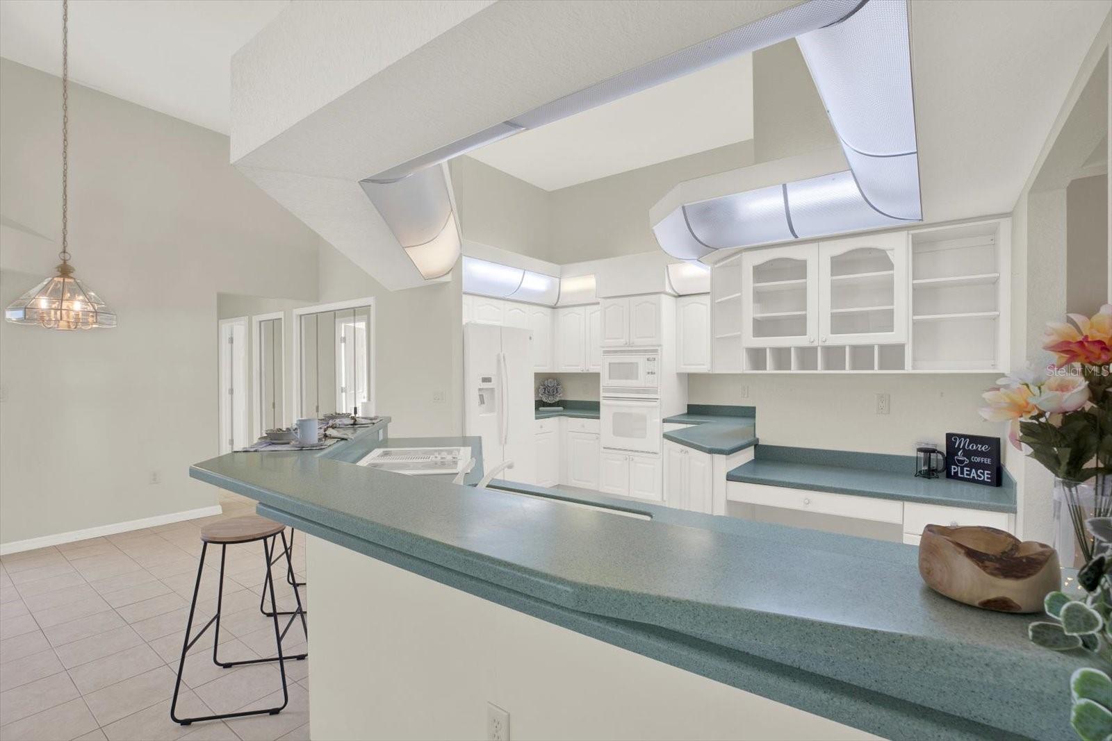 8606 CORAL CREEK LOOP, HUDSON, FL, 34667