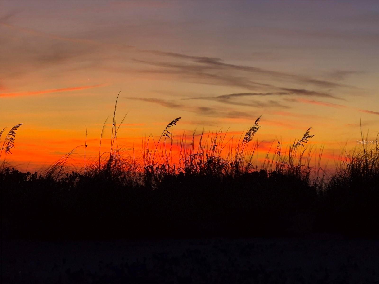 418 NARVAEZI ST, VENICE, FL, 34285