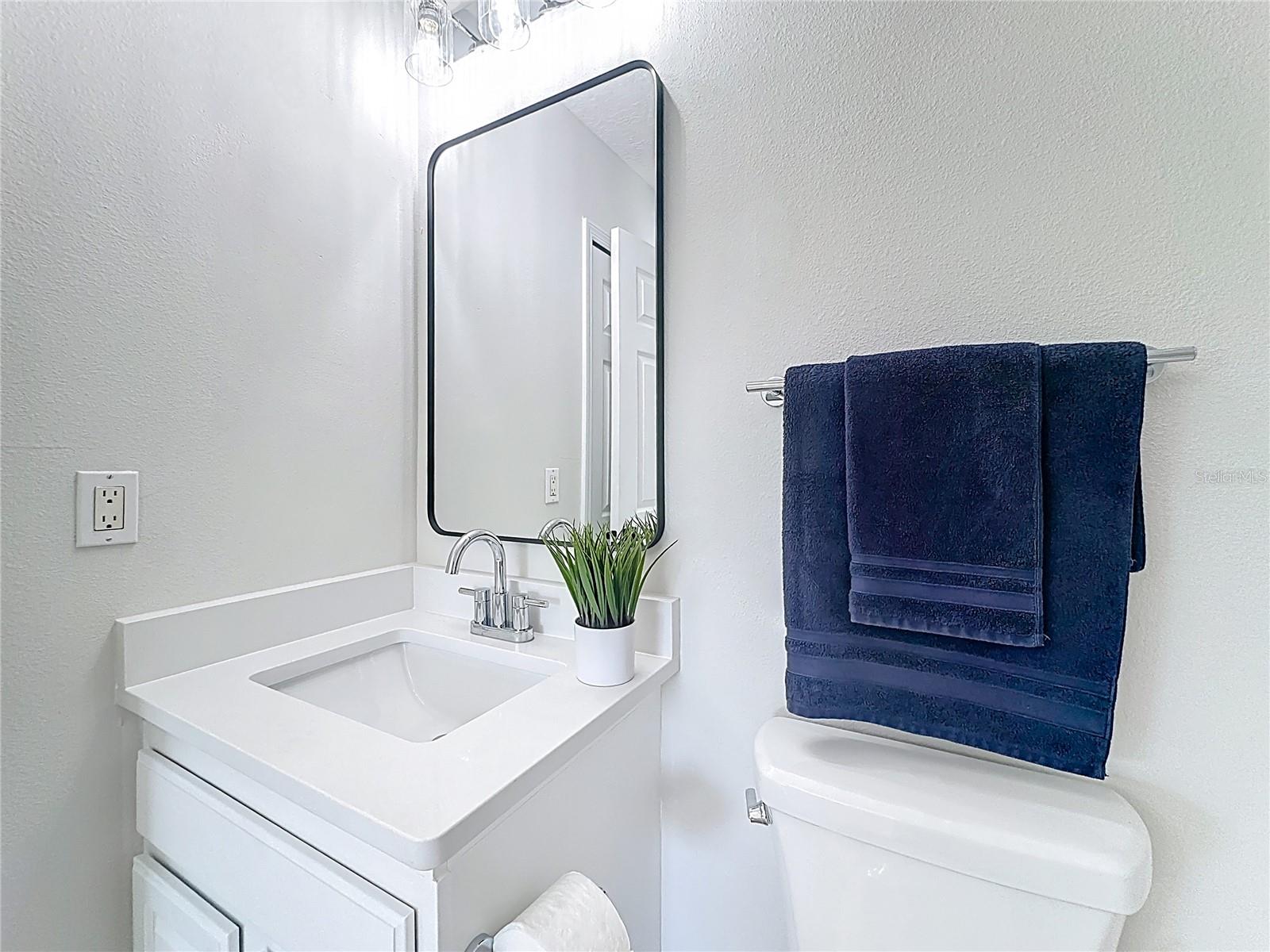 336 COURTLEA PARK DR, WINTER GARDEN, FL, 34787