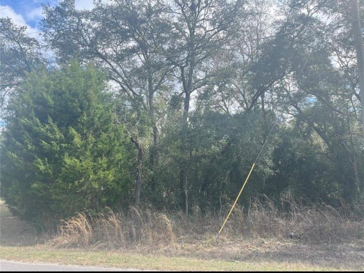 TBD 94TH AVE, BELLEVIEW, FL, 34420