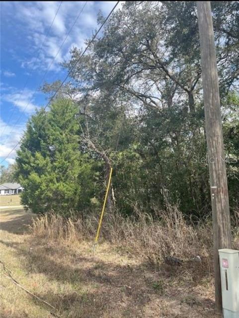 TBD 94TH AVE, BELLEVIEW, FL, 34420