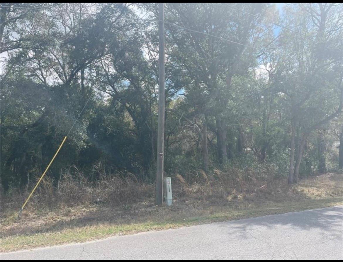 TBD 94TH AVE, BELLEVIEW, FL, 34420