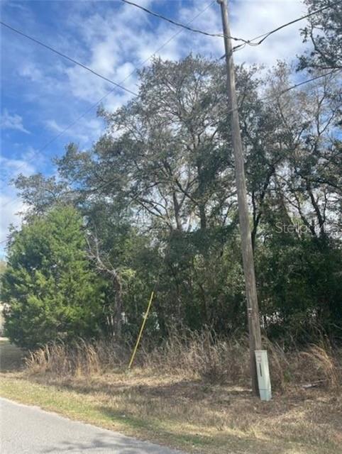 TBD 94TH AVE, BELLEVIEW, FL, 34420