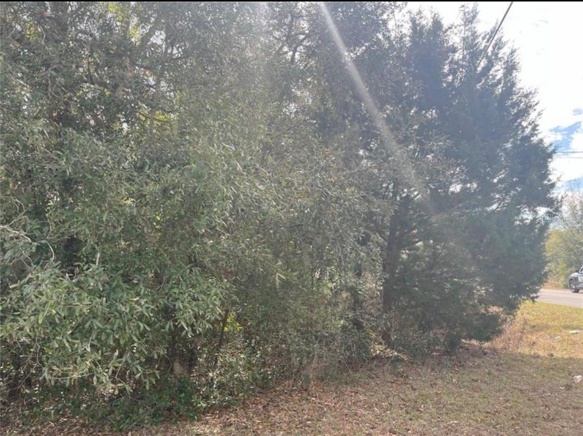 TBD 94TH AVE, BELLEVIEW, FL, 34420