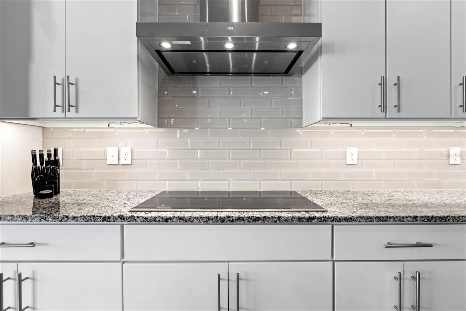 31865 TORTUGA SHORE LOOP, WESLEY CHAPEL, FL, 33545