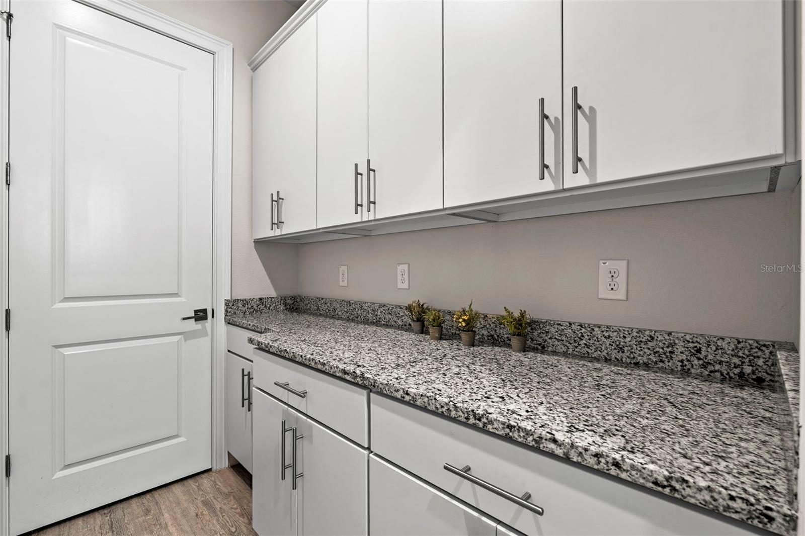 31865 TORTUGA SHORE LOOP, WESLEY CHAPEL, FL, 33545