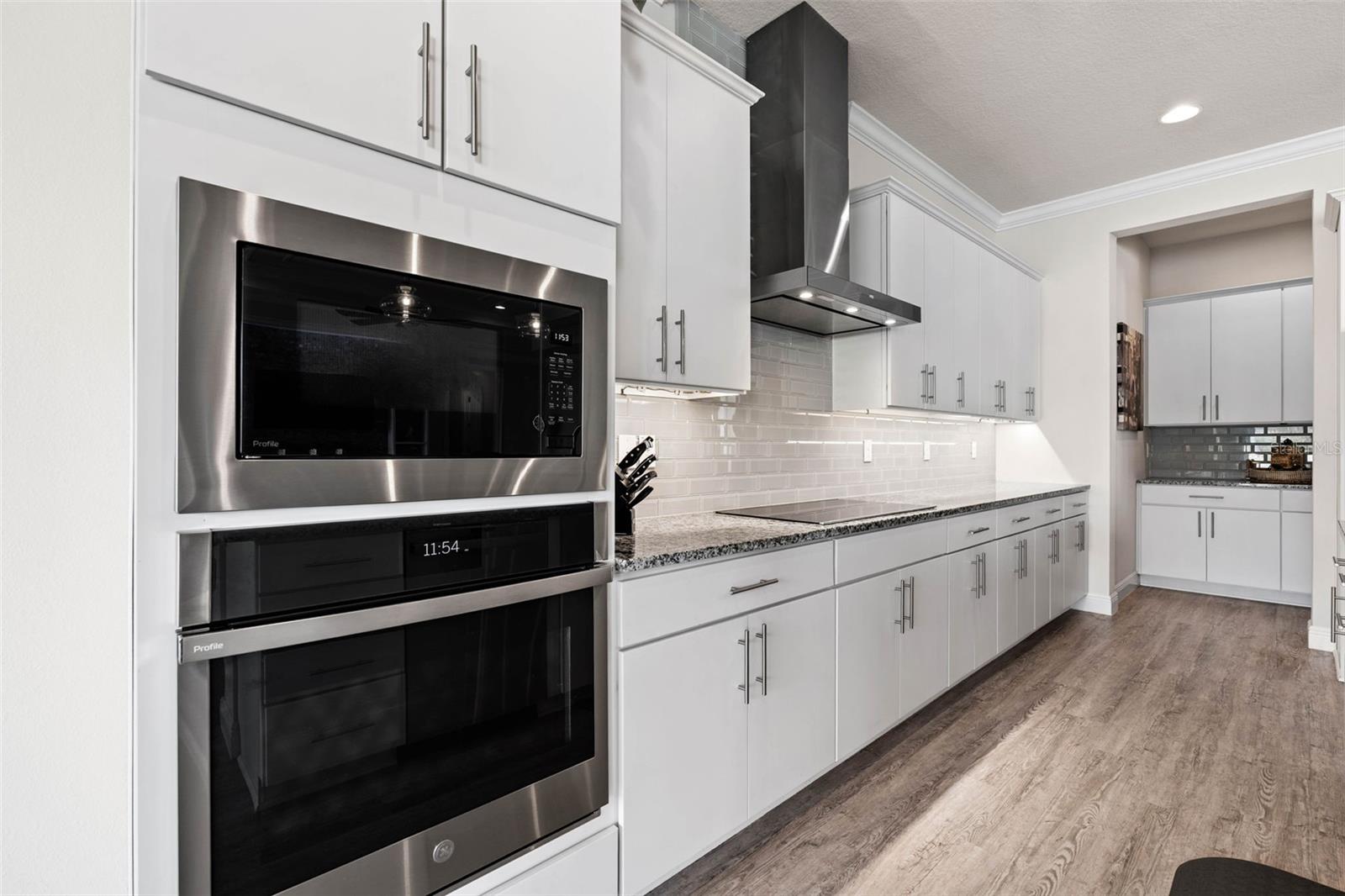 31865 TORTUGA SHORE LOOP, WESLEY CHAPEL, FL, 33545