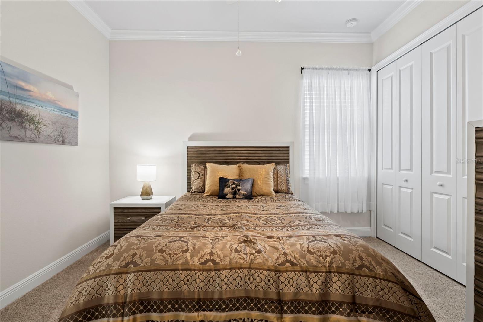 31865 TORTUGA SHORE LOOP, WESLEY CHAPEL, FL, 33545