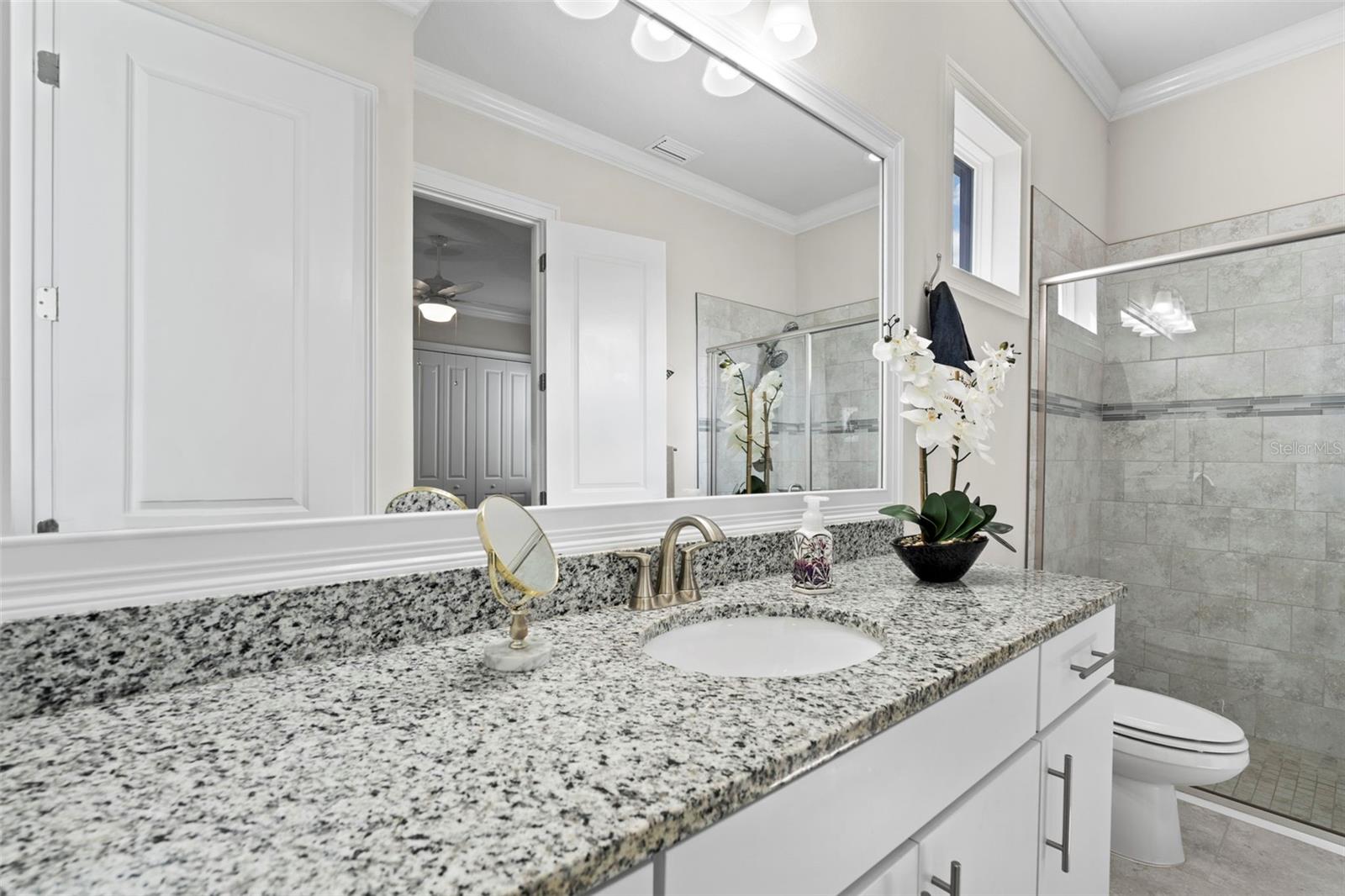 31865 TORTUGA SHORE LOOP, WESLEY CHAPEL, FL, 33545