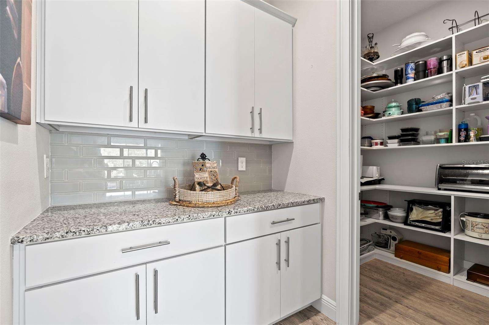 31865 TORTUGA SHORE LOOP, WESLEY CHAPEL, FL, 33545