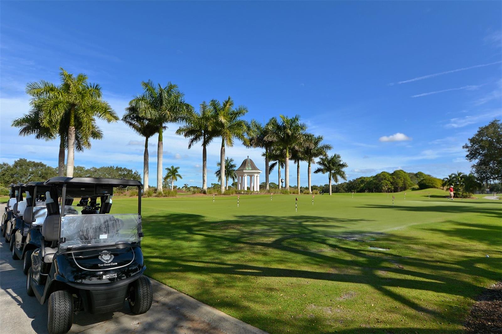 61 BAYHEAD LN, OSPREY, FL, 34229