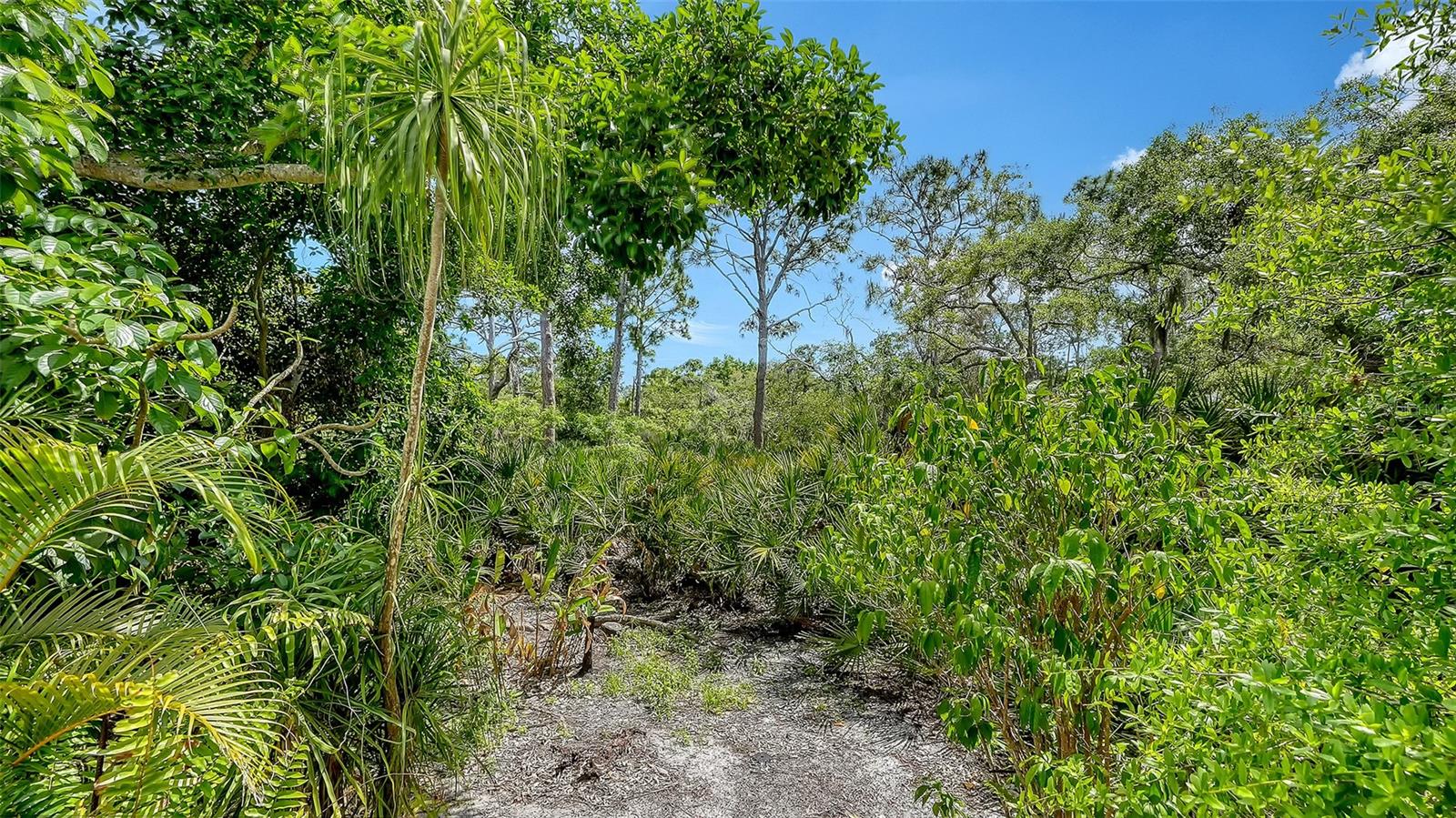 61 BAYHEAD LN, OSPREY, FL, 34229