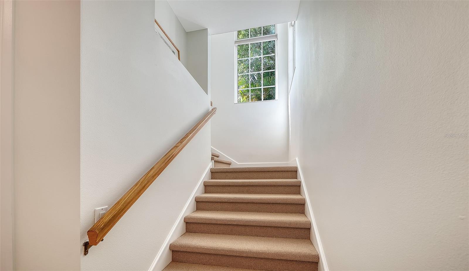 61 BAYHEAD LN, OSPREY, FL, 34229