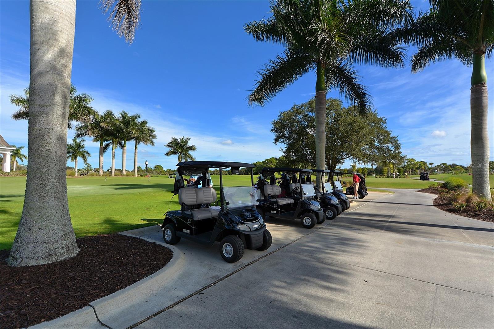 61 BAYHEAD LN, OSPREY, FL, 34229