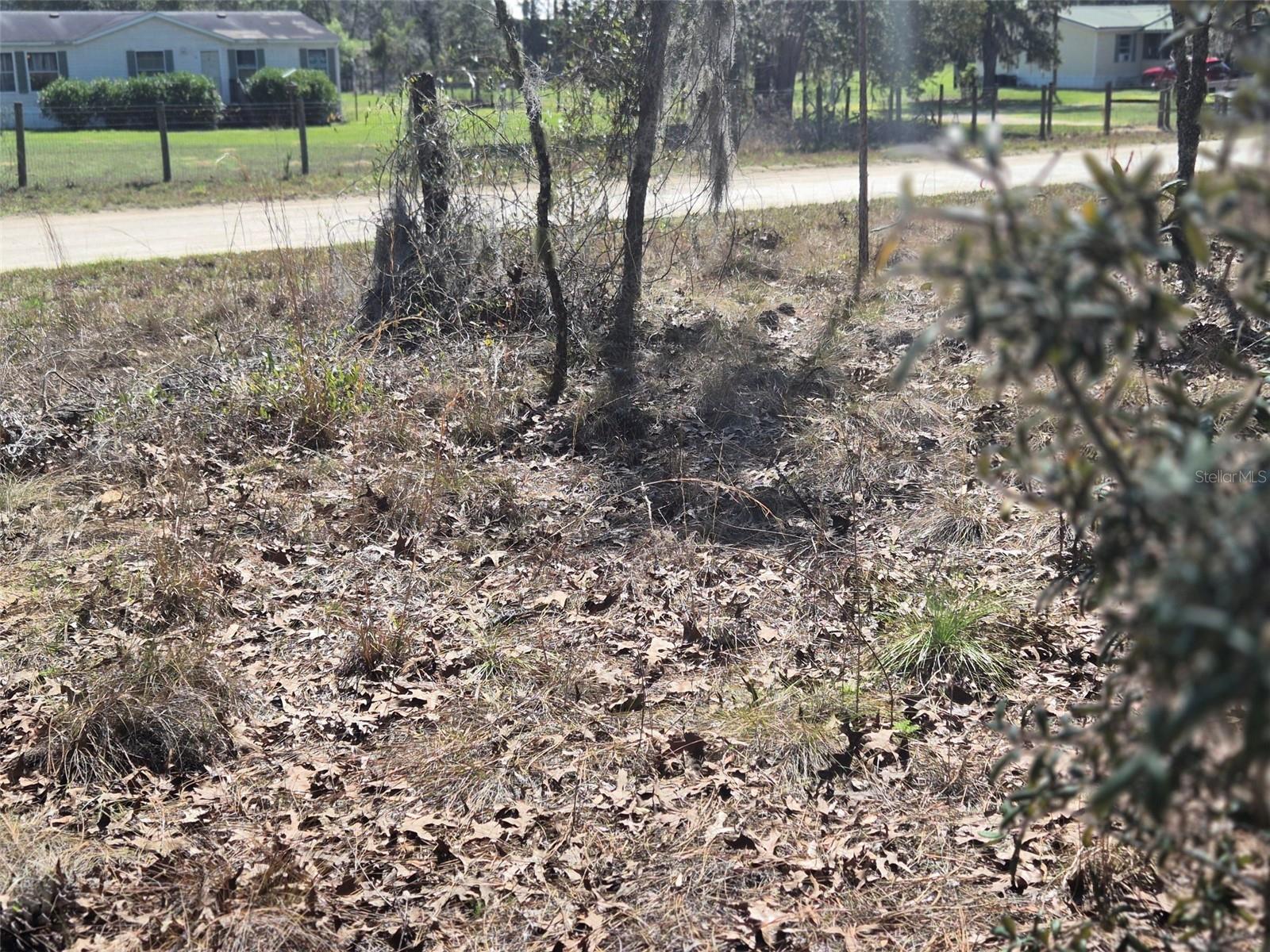 00 NE 137TH AVE, WILLISTON, FL, 32696