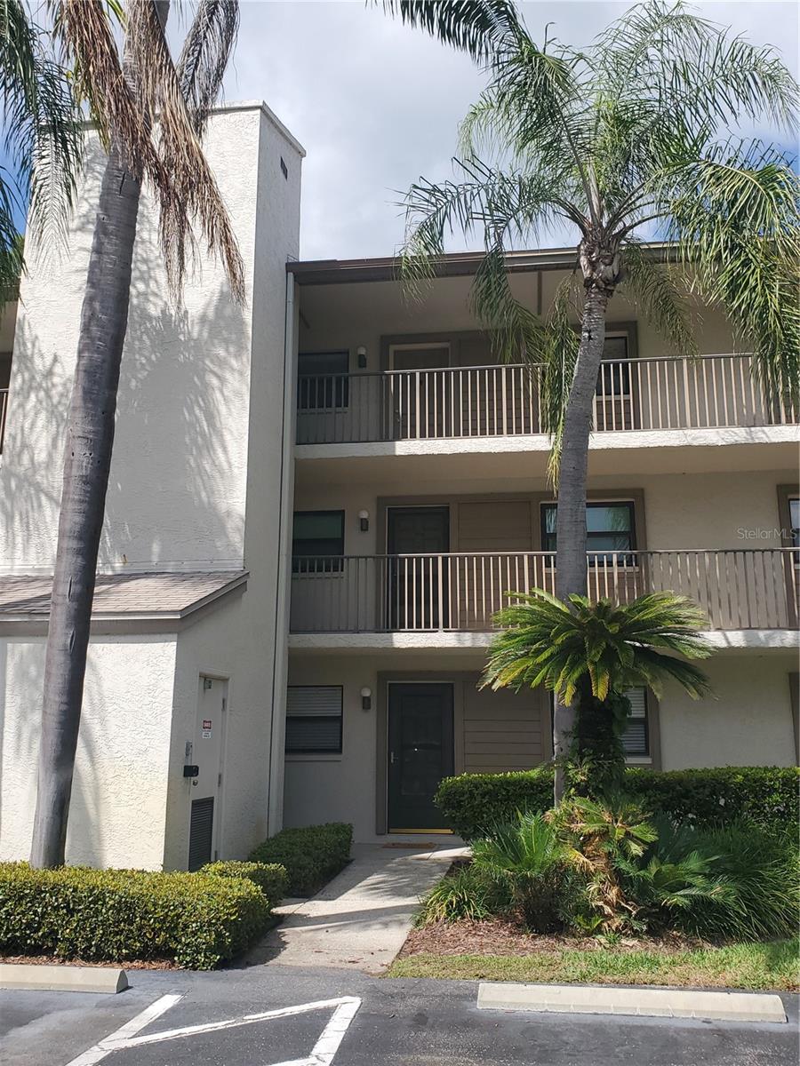 3038 EASTLAND BLVD #F306, CLEARWATER, FL, 33761