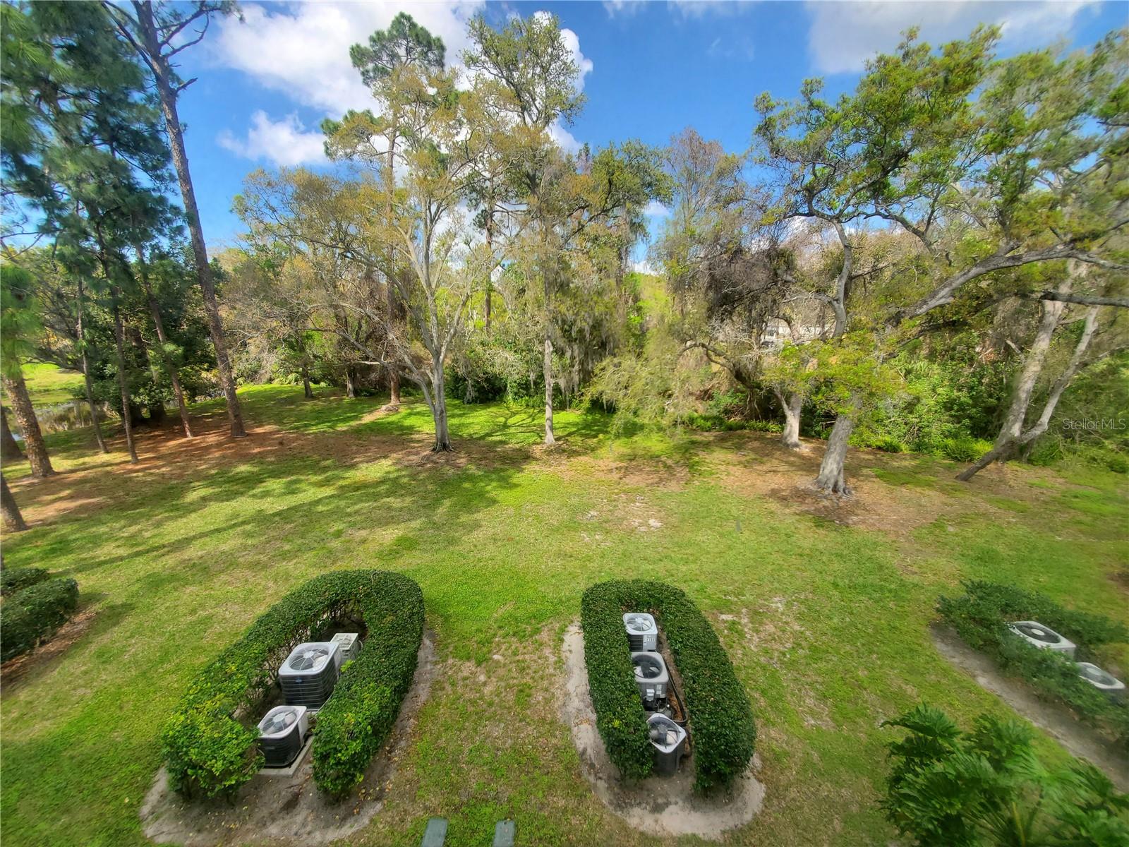 3038 EASTLAND BLVD #F306, CLEARWATER, FL, 33761