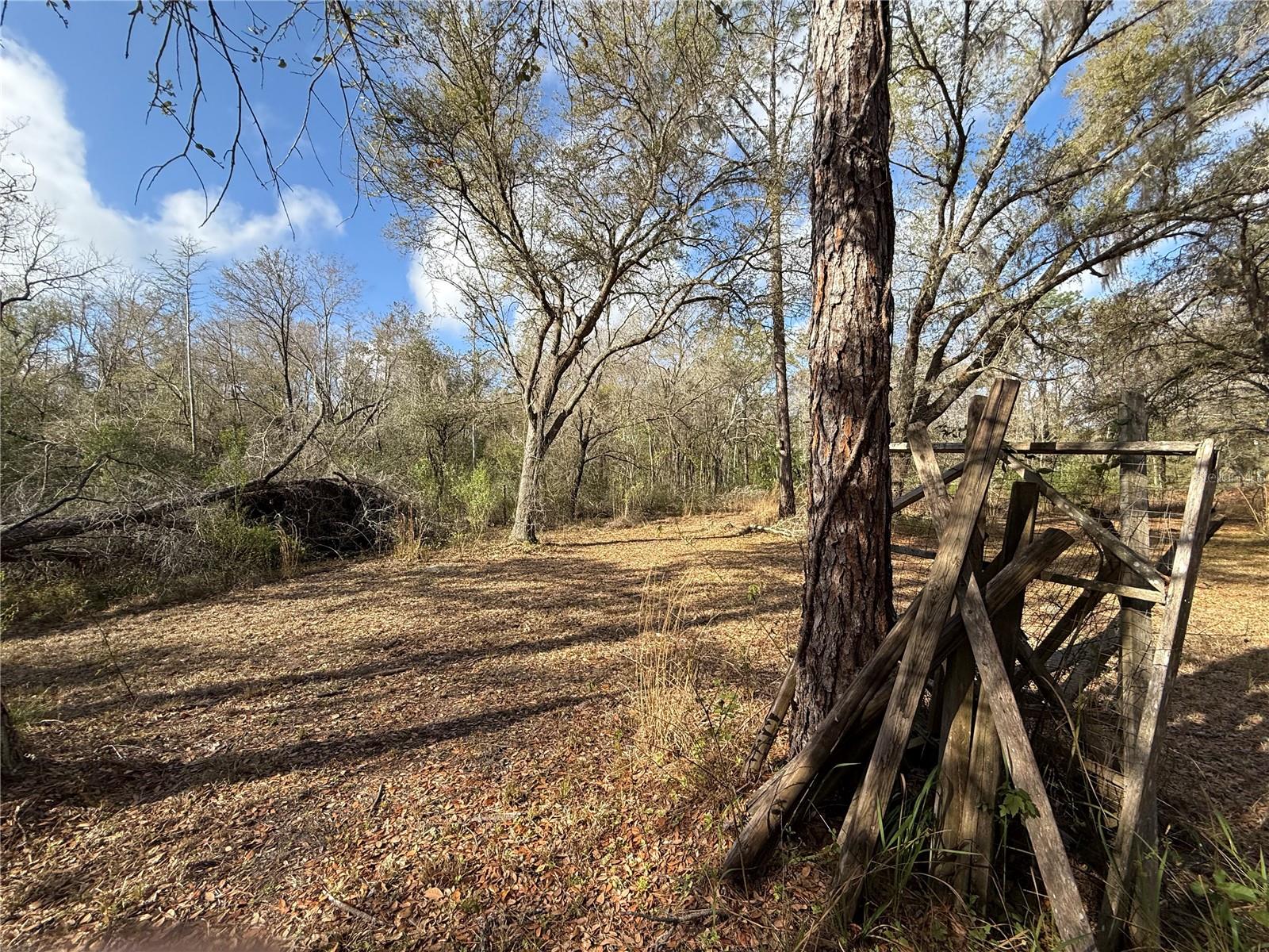 12708 FARMETTES RD, LAKELAND, FL, 33809