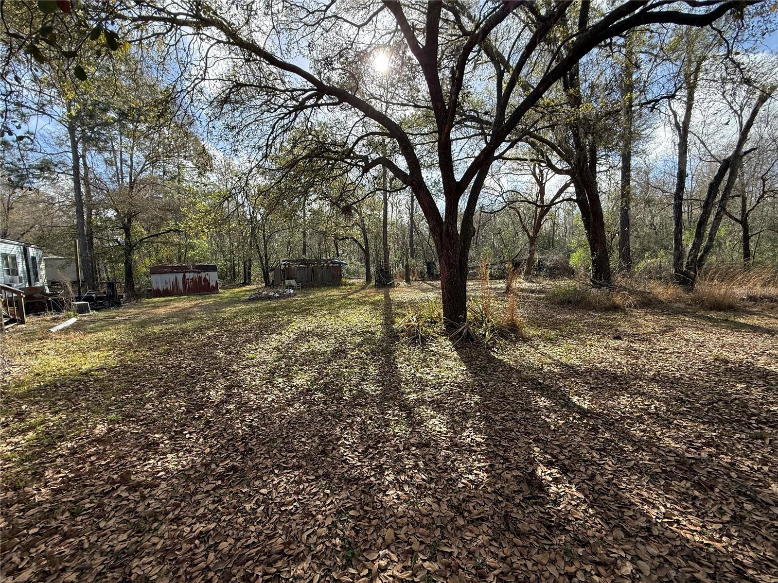 12708 FARMETTES RD, LAKELAND, FL, 33809