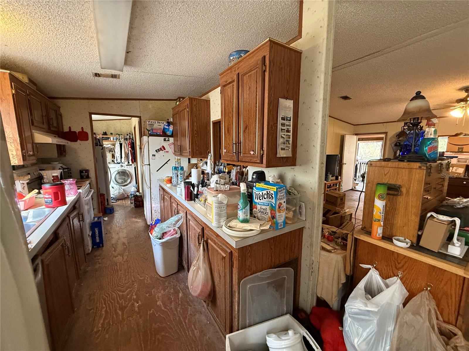 12708 FARMETTES RD, LAKELAND, FL, 33809